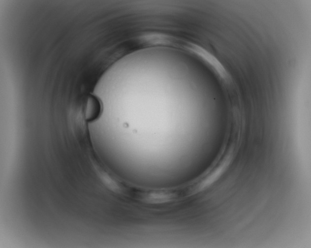 X0000113910857200910011447