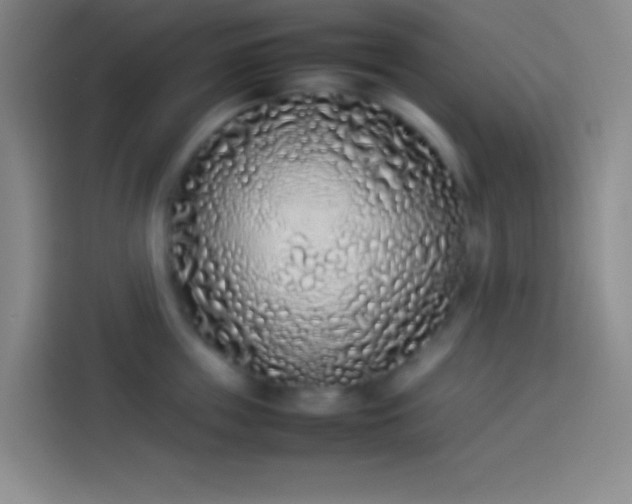 X0000113910859200910011447