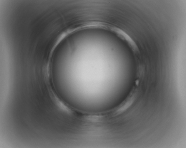 X0000113910860200910011447