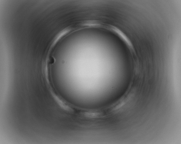 X0000113910861200910011447