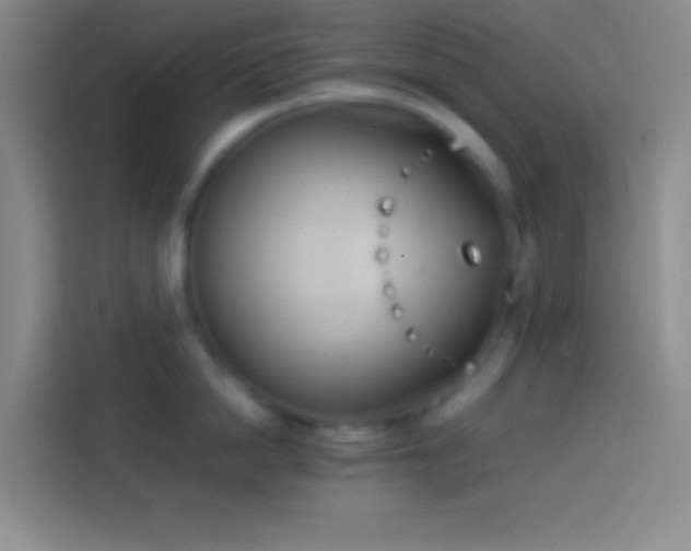 X0000113910862200910011447