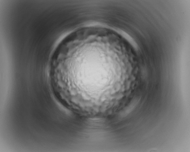 X0000113910863200910011447