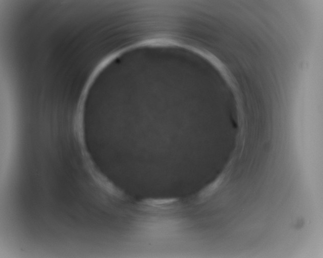 X0000113910864200910011447