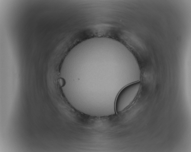 X0000113910865200910011447