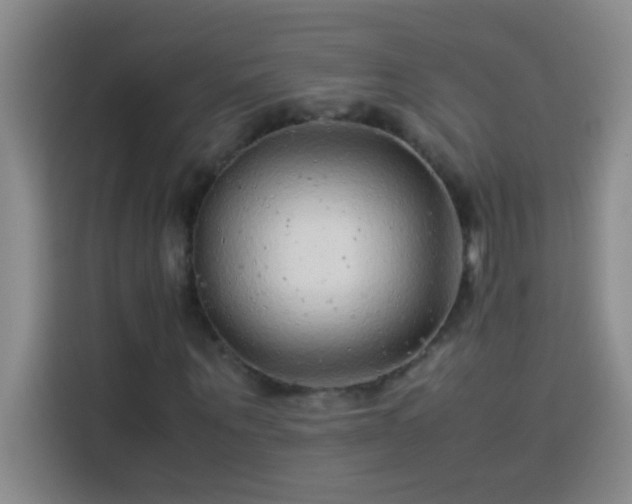 X0000113910867200910011447