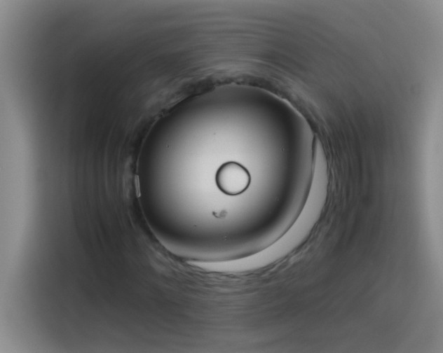 X0000113910868200910011447