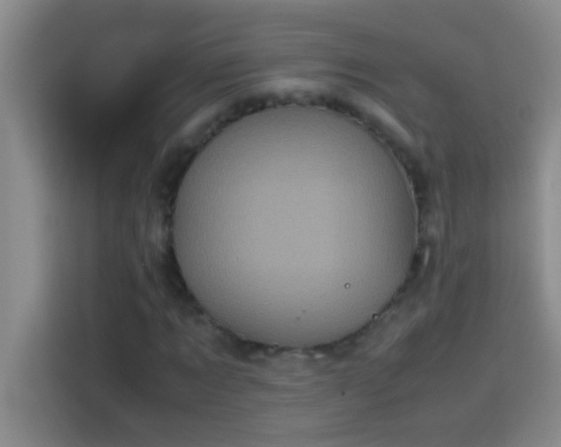 X0000113910869200910011447