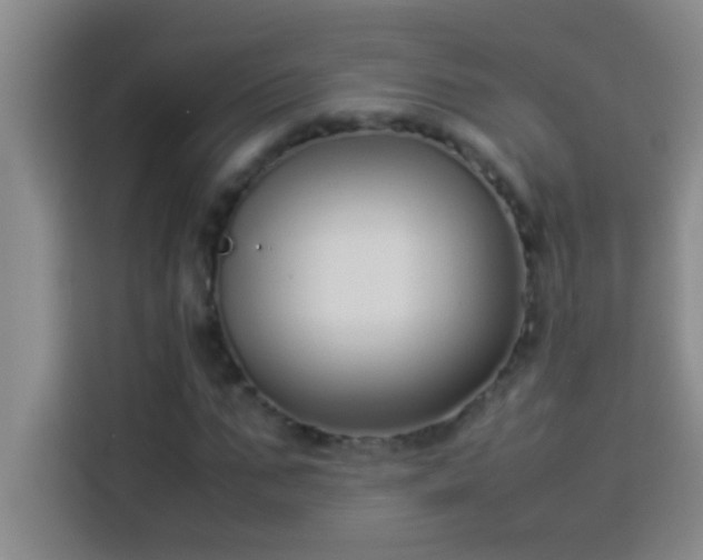 X0000113910871200910011447