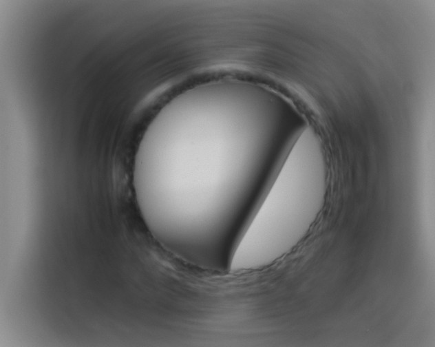 X0000113910872200910011447