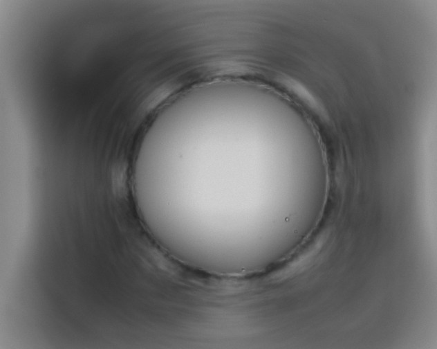 X0000113910873200910011447