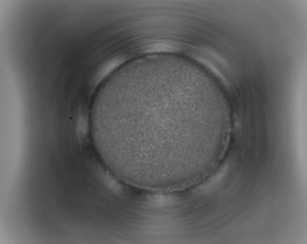 X0000113910874200910011447