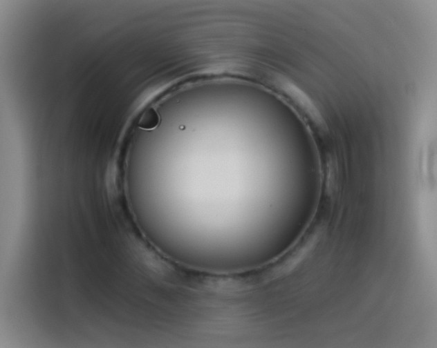 X0000113910876200910011447