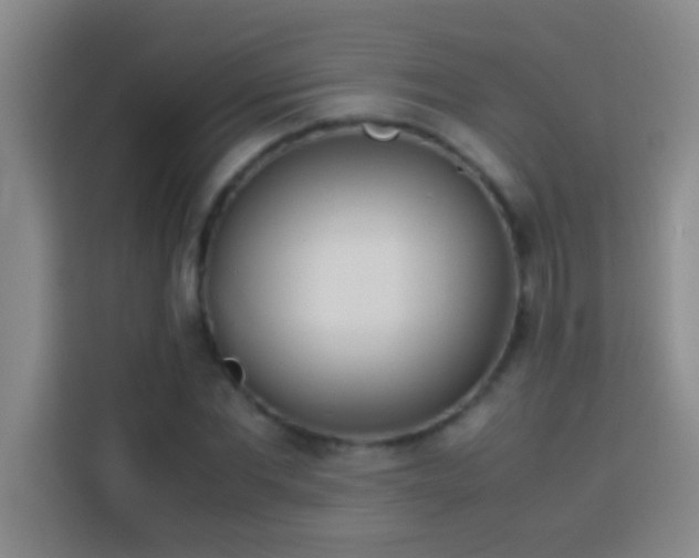 X0000113910877200910011447