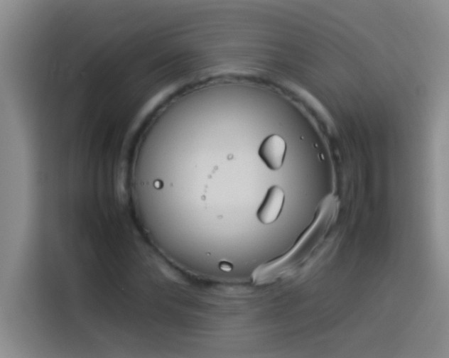 X0000113910878200910011447