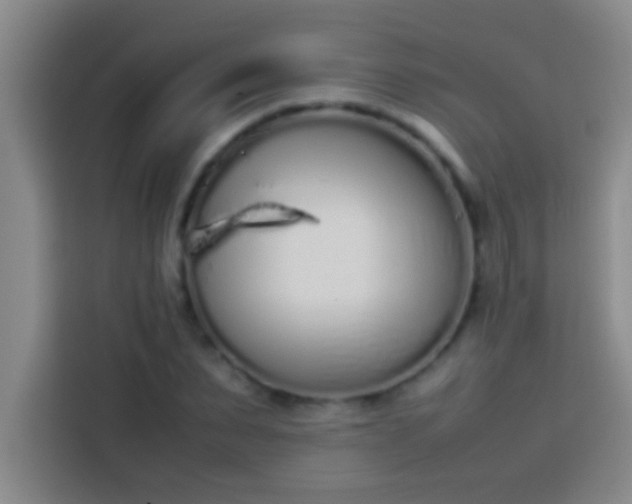 X0000113910879200910011447