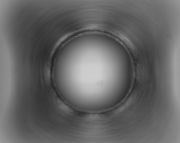 X0000113910880200910011447