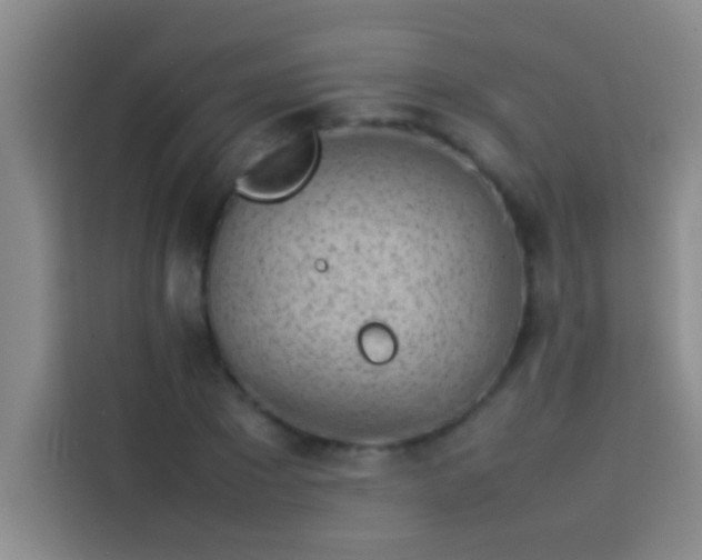 X0000113910881200910011446