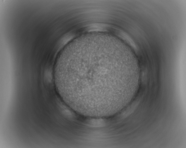 X0000113910882200910011446