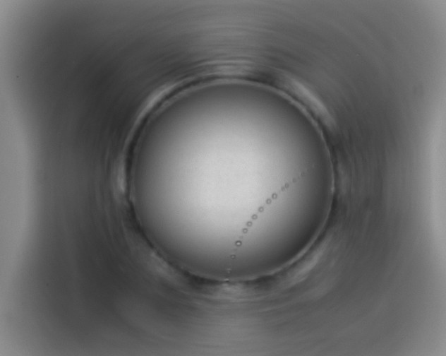 X0000113910883200910011446