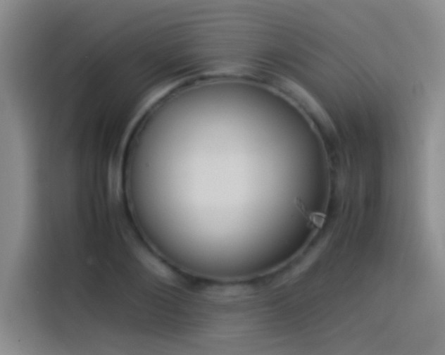 X0000113910884200910011446