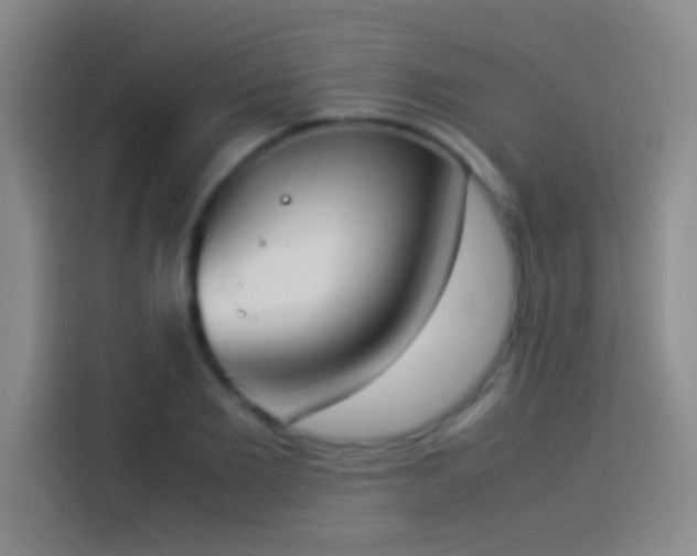 X0000113910885200910011446