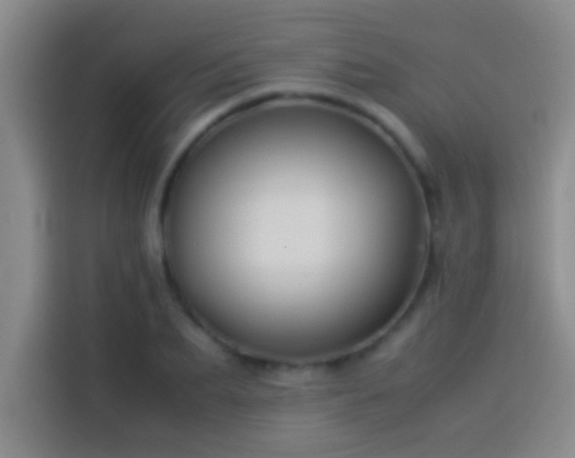 X0000113910887200910011446