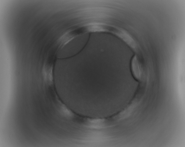 X0000113910889200910011446