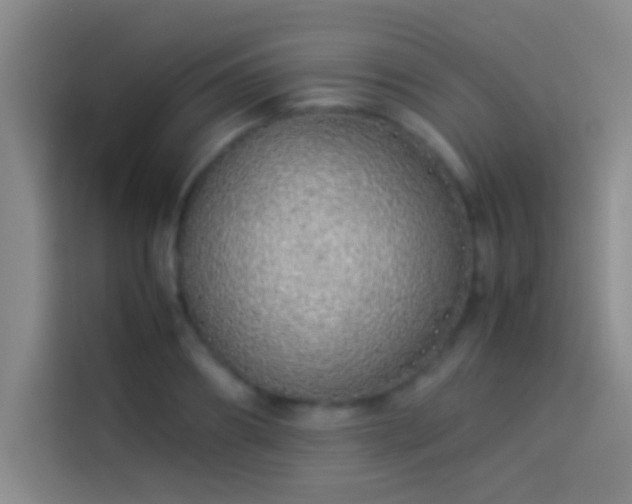 X0000113910890200910011446