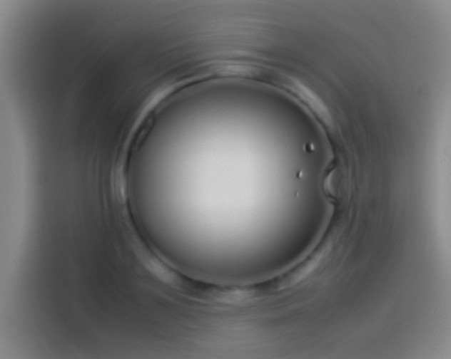 X0000113910891200910011446