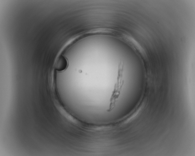 X0000113910892200910011446