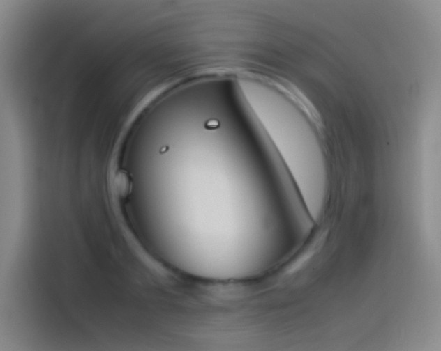 X0000113910893200910011446