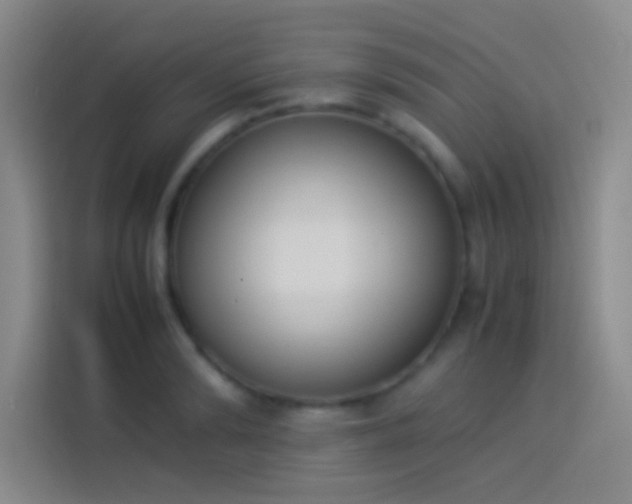 X0000113910894200910011446