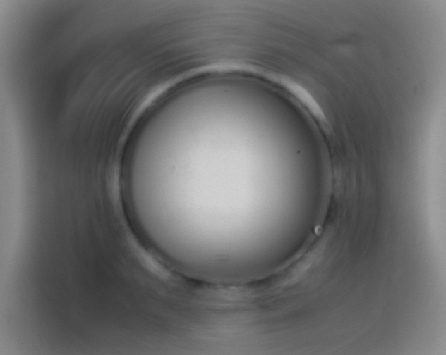 X0000113910895200910011446