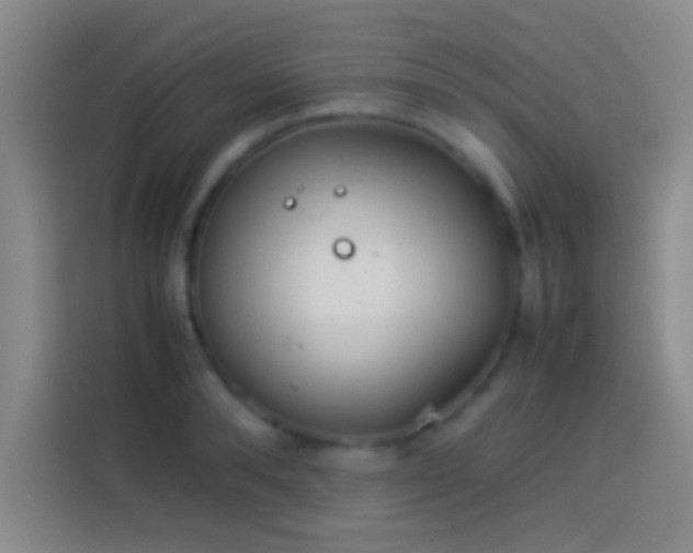 X0000113910896200910011446