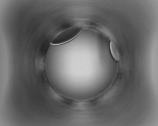 X0000113910897200910011446