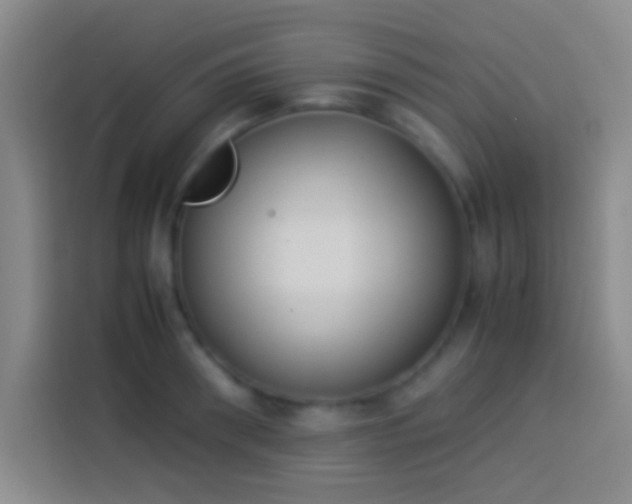 X0000113910898200910011446