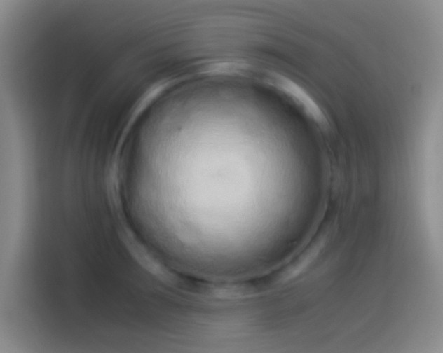 X0000113910899200910011446