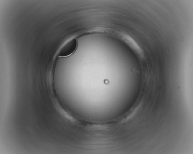 X0000113910900200910011446