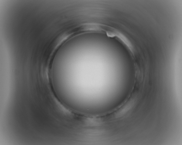 X0000113910901200910011446