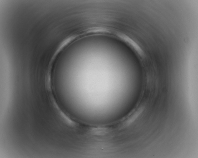 X0000113910902200910011446