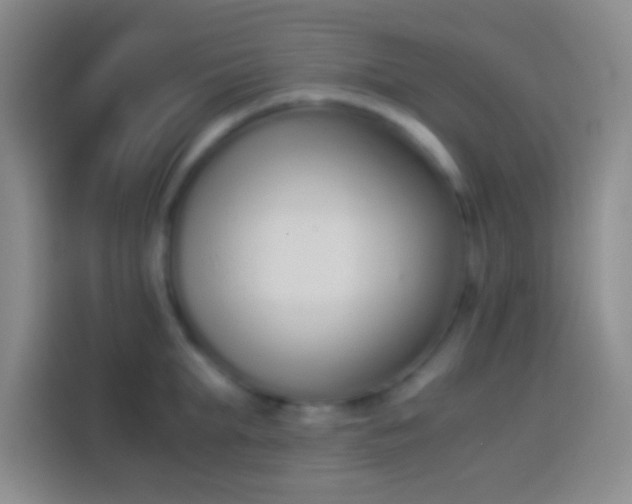 X0000113910903200910011446