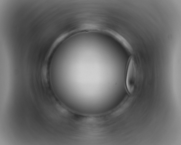 X0000113910904200910011446