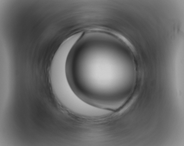 X0000113910905200910011446