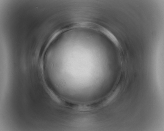 X0000113910907200910011446