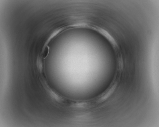 X0000113910908200910011446