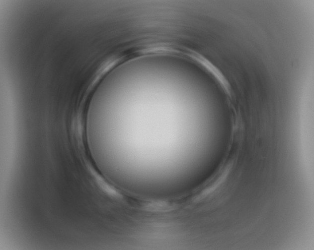 X0000113910909200910011446