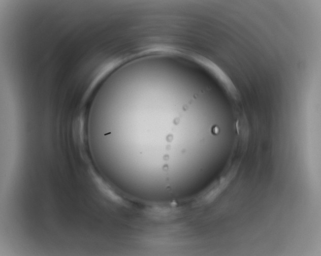 X0000113910910200910011446