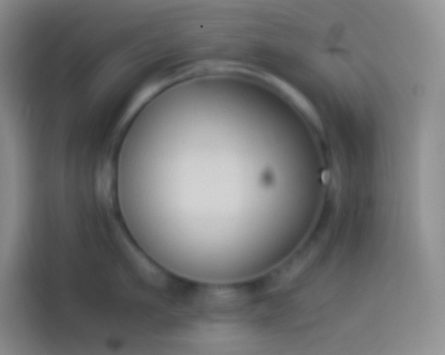 X0000113910911200910011446