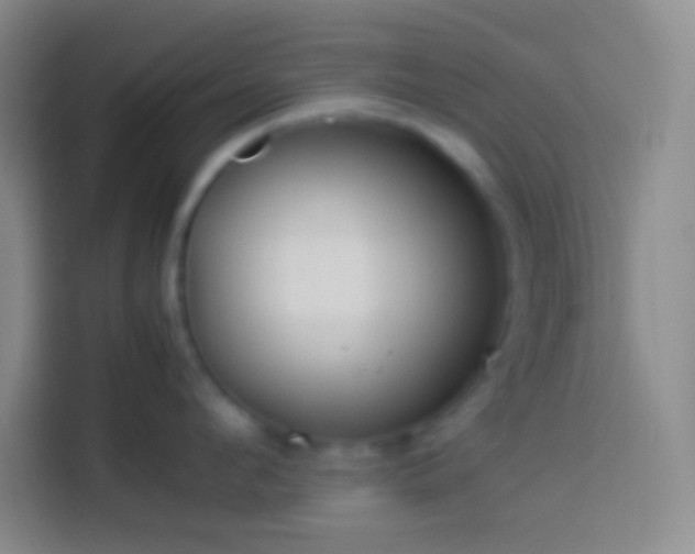 X0000113910912200910011446