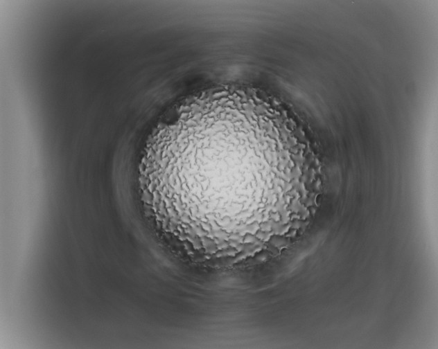 X0000113910913200910011445